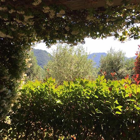 Agriturismo Tenuta La Fratta Bagni di Lucca Bagian luar foto