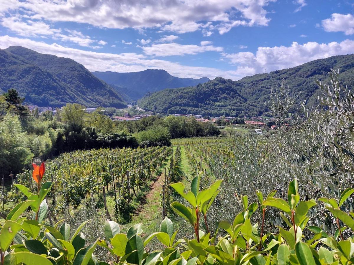 Agriturismo Tenuta La Fratta Bagni di Lucca Bagian luar foto