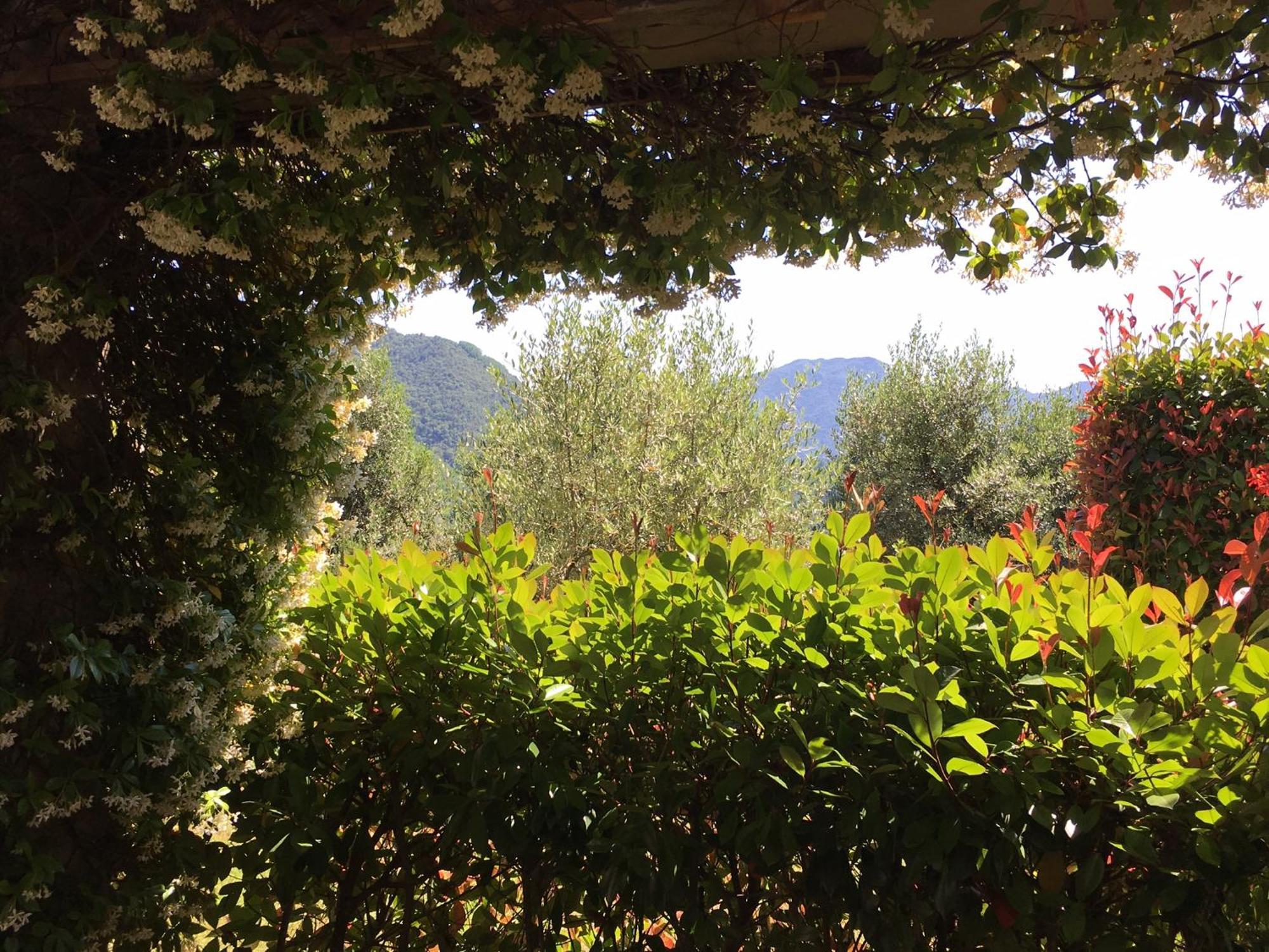 Agriturismo Tenuta La Fratta Bagni di Lucca Bagian luar foto