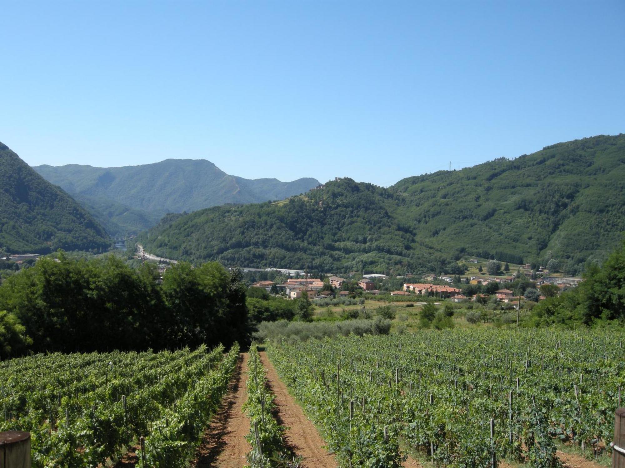 Agriturismo Tenuta La Fratta Bagni di Lucca Bagian luar foto
