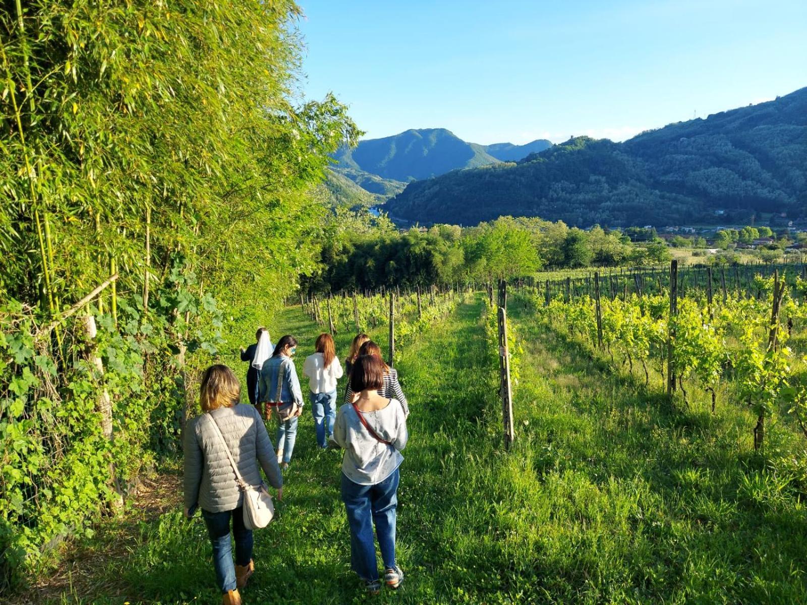 Agriturismo Tenuta La Fratta Bagni di Lucca Bagian luar foto