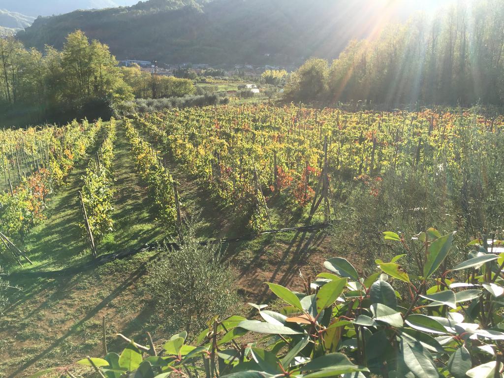 Agriturismo Tenuta La Fratta Bagni di Lucca Bagian luar foto