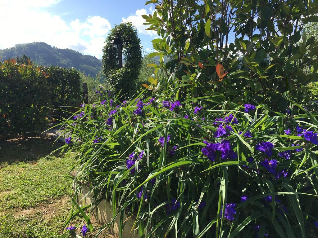 Agriturismo Tenuta La Fratta Bagni di Lucca Bagian luar foto