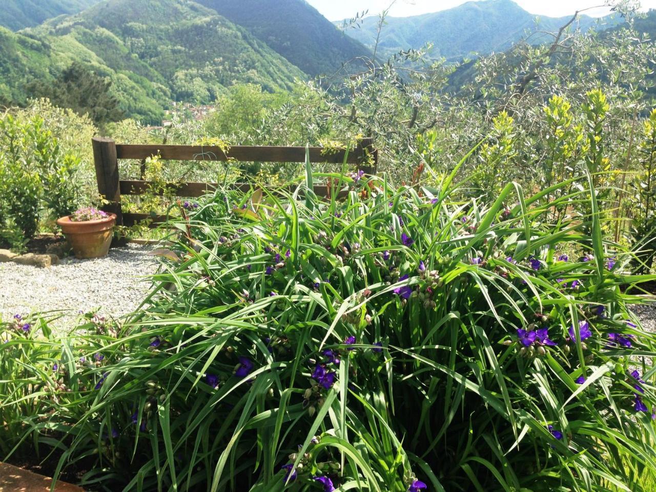Agriturismo Tenuta La Fratta Bagni di Lucca Bagian luar foto