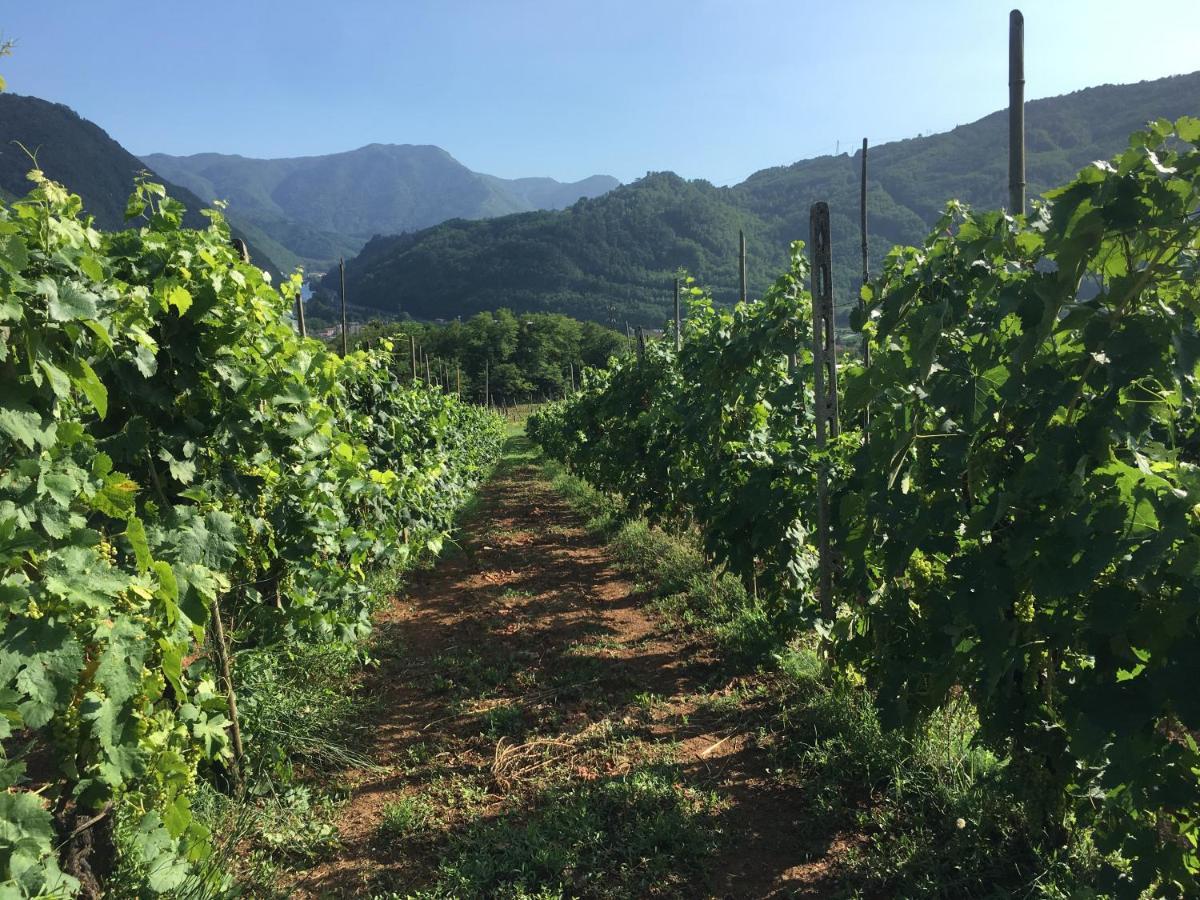 Agriturismo Tenuta La Fratta Bagni di Lucca Bagian luar foto